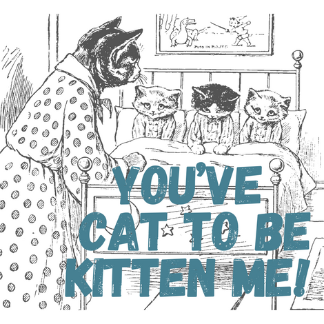 You&#39;ve Cat to be Kitten Me